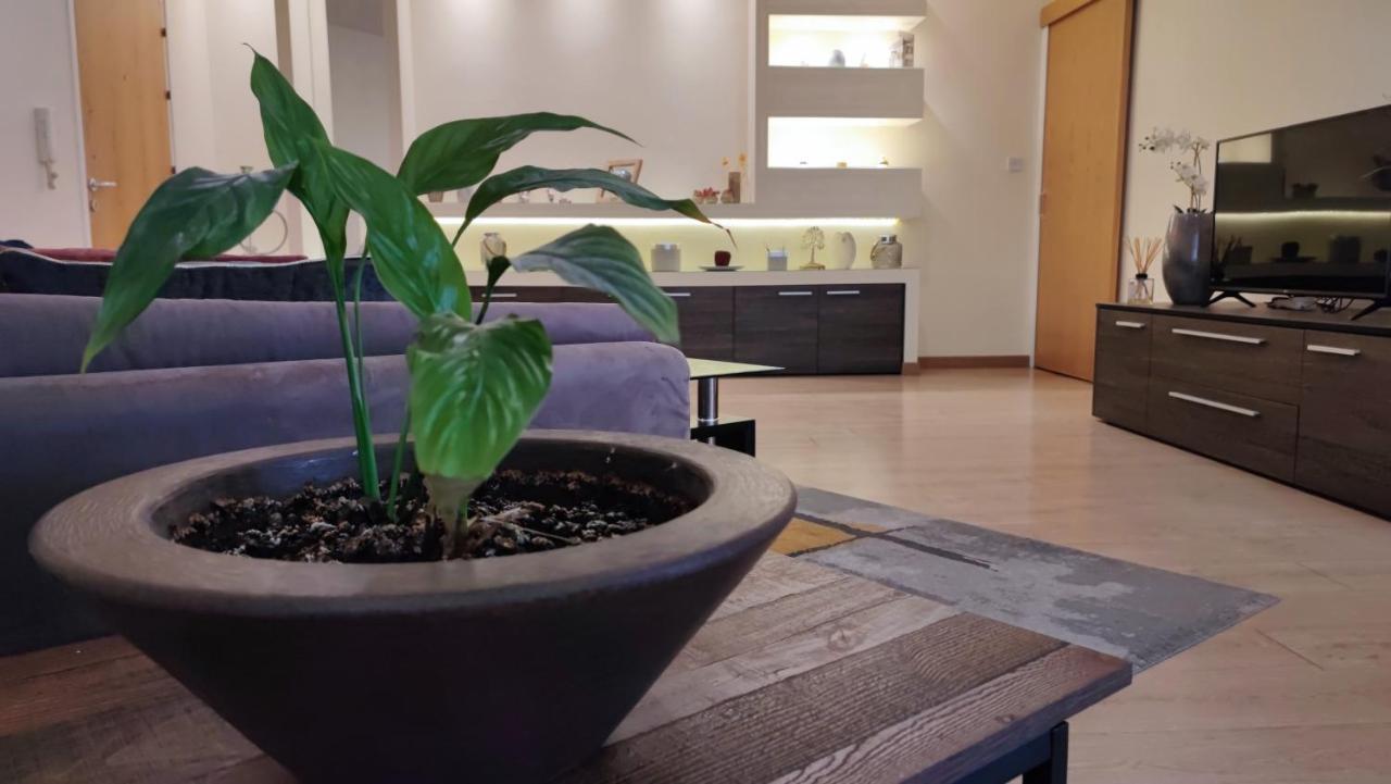 Isabella Modern Flat City Center ニコシア エクステリア 写真